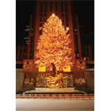 Rockefeller Center Tree